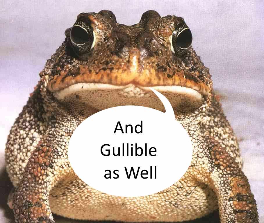 [Image: toadtalk-Gullible.jpg]