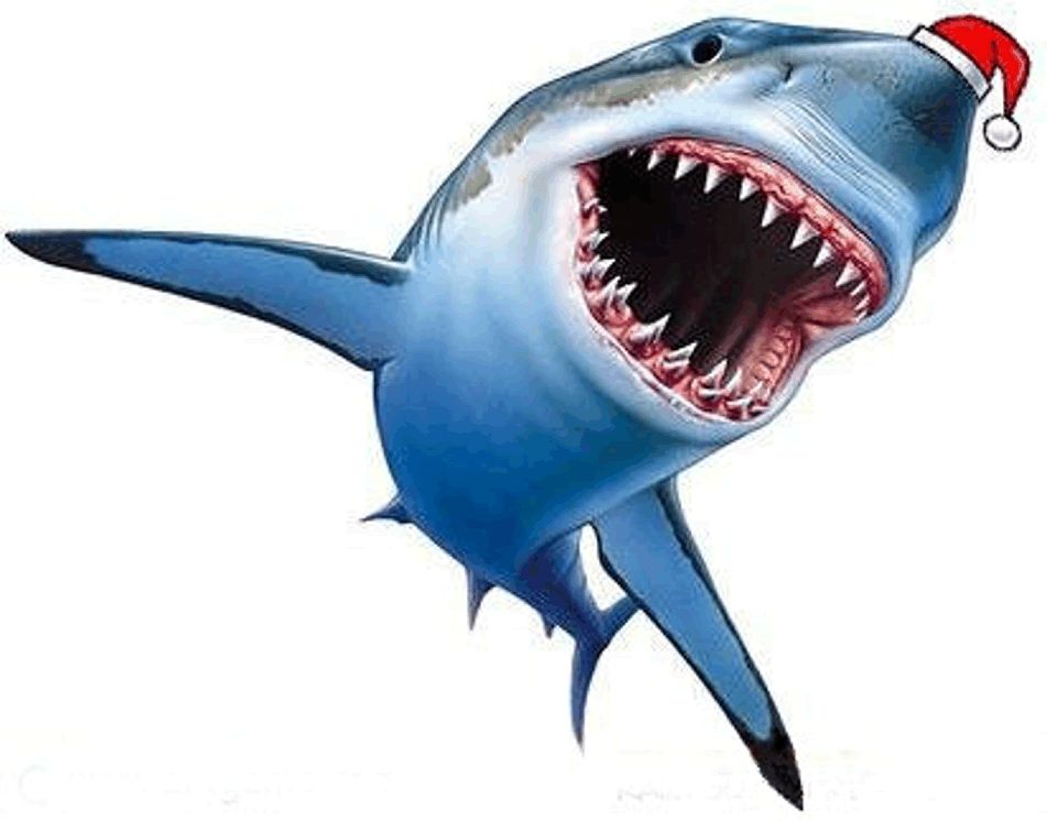 [Image: xmasshark.jpg]