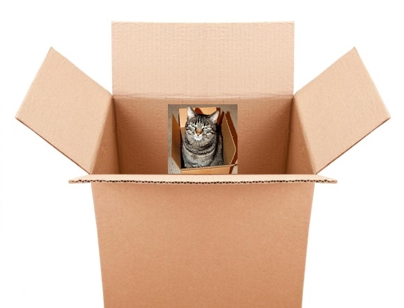 [Image: cat-in-box-in-box.jpg]