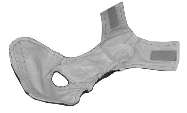 [Image: dog-diaper.jpg]