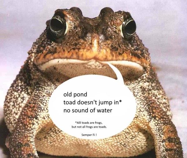 [Image: toadtalk-semper-fi.jpg]