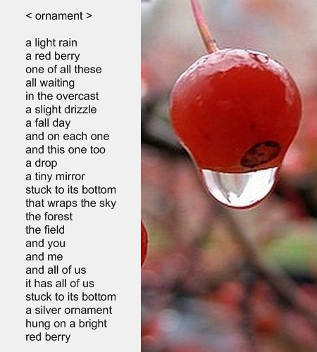 [Image: ornament.jpg]