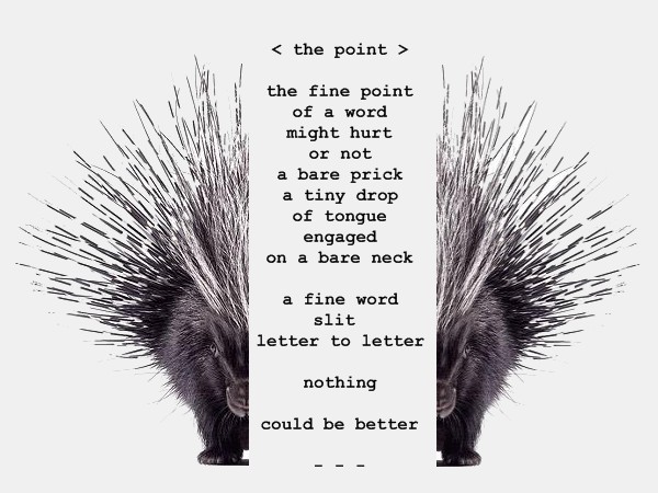 [Image: the_point_gray.jpg]
