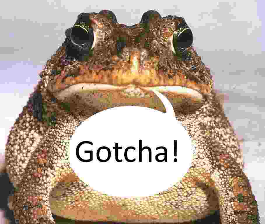 [Image: Toad-Gotcha.jpg]