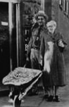 [Image: deadwheelbarrow.jpg]