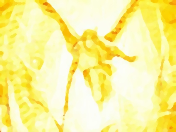 [Image: flower.jpg]