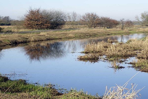 [Image: riverbann.jpg]