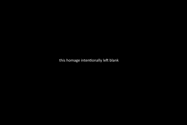 [Image: BlankHomage.jpg]