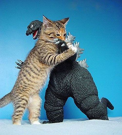 [Image: KittenHugsGodzilla.jpg]
