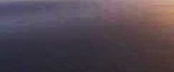 [Image: forgotten.jpg]