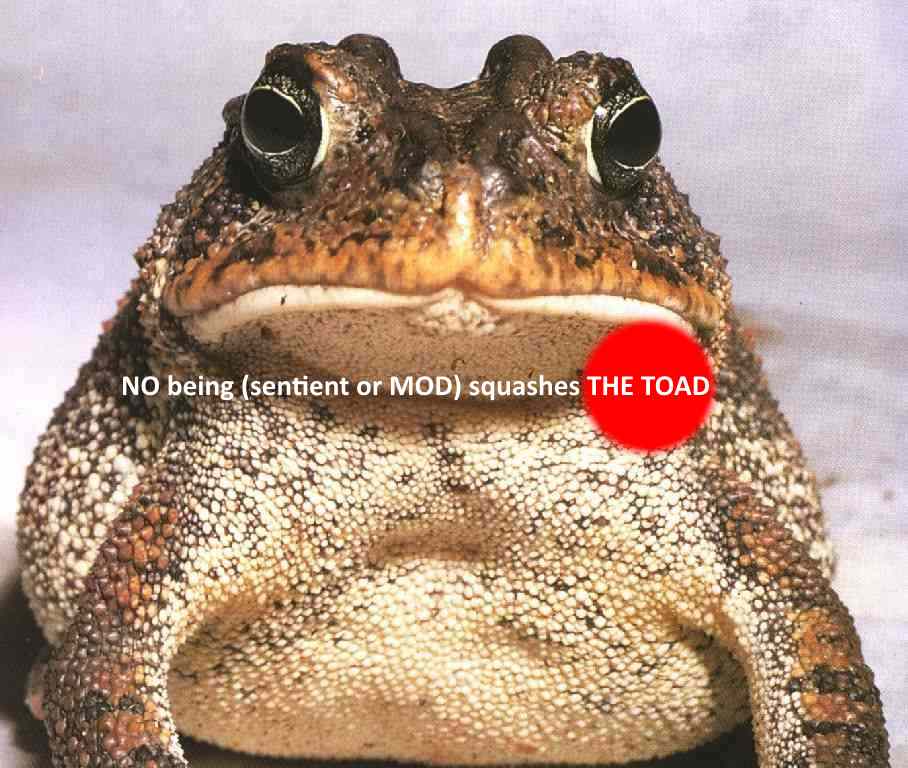 [Image: ToadNoOne.jpg]