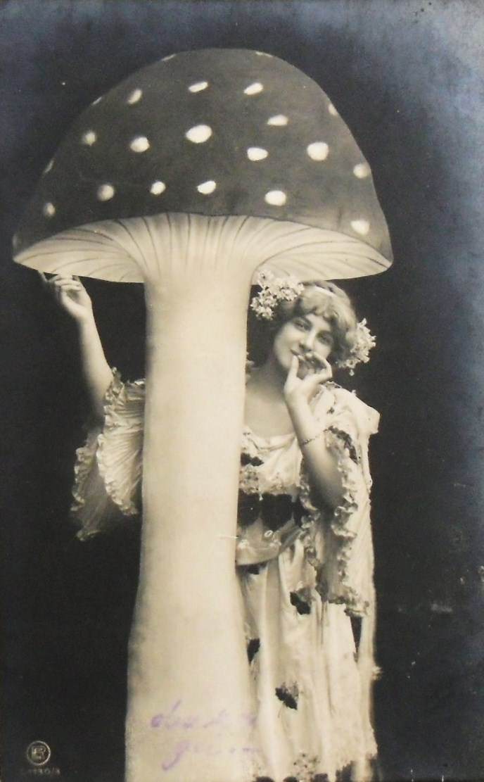 [Image: BigMushroom.jpg]