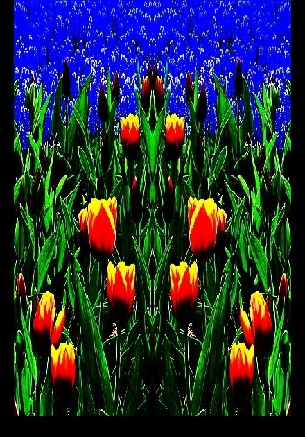[Image: gardens.jpg]