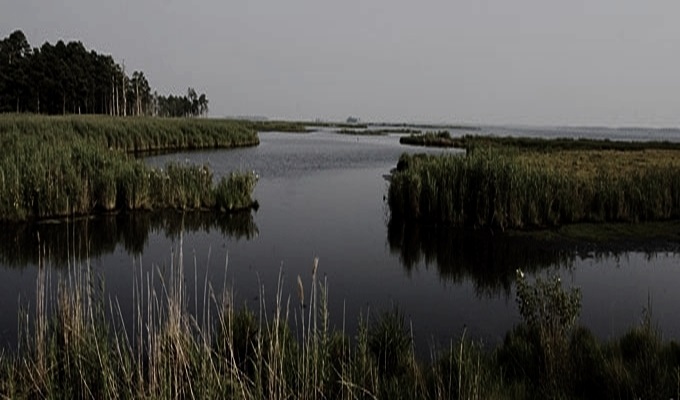 [Image: summernight.jpg]