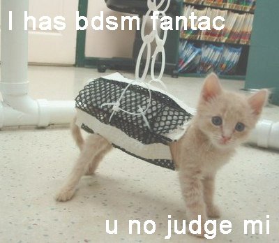 [Image: bdsmkitten.jpg]
