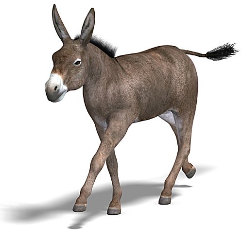 [Image: mule.jpg]